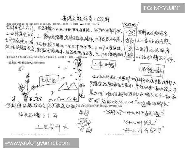 假传真投 哈利伯顿急停三分应声入网 假传真投 哈利伯顿急停三分应声入网